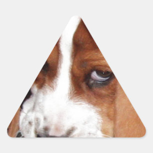 Pegatina Triangular Pon aquí tu imagen