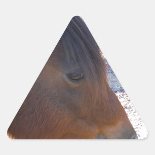Pegatina Triangular Primer plano de caballo marrón, pequeño pony marró