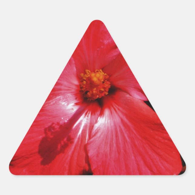 Pegatina Triangular Red Hibiscus (Anverso)