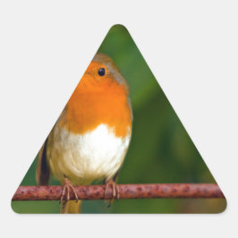 Pegatina Triangular Robin navidades