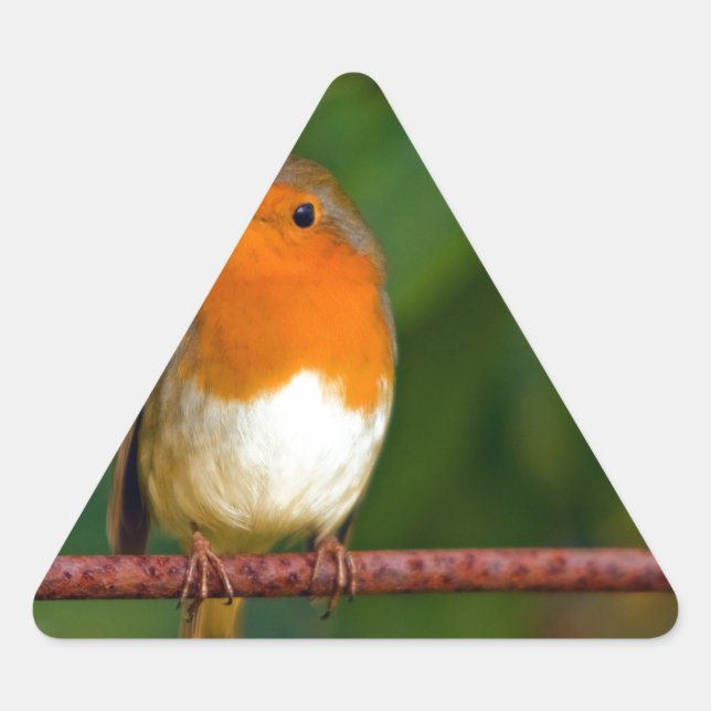 Pegatina Triangular Robin navidades (Anverso)