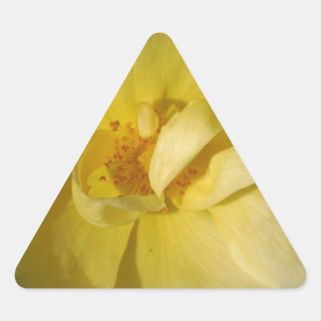 Pegatina Triangular Rosa amarillo salvaje (Anverso)