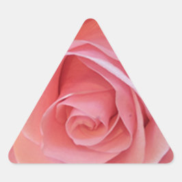 Pegatina Triangular Rosa rosa