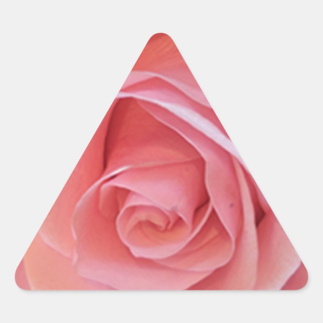 Pegatina Triangular Rosa rosa (Anverso)
