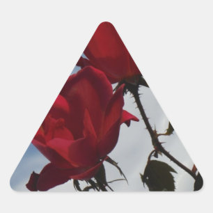 Pegatina Triangular Roses rojos contra un brillante cielo azul