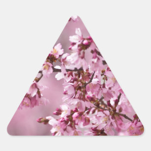 Pegatina Triangular Sakura cerezos florecen en capas rosadas pasteles