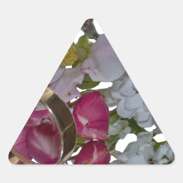 Pegatina Triangular Saludos - Saludos (Anverso)