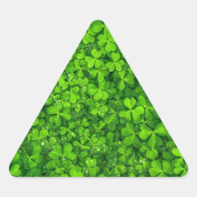Shamrock Clovers Green Irish Symbol Irlanda