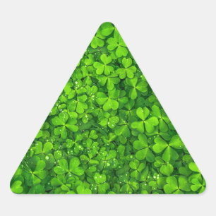 Pegatina Triangular Shamrock Clovers Green Irish Symbol Irlanda