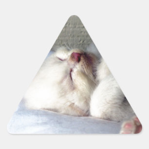 Pegatina Triangular Sleepy Kitten