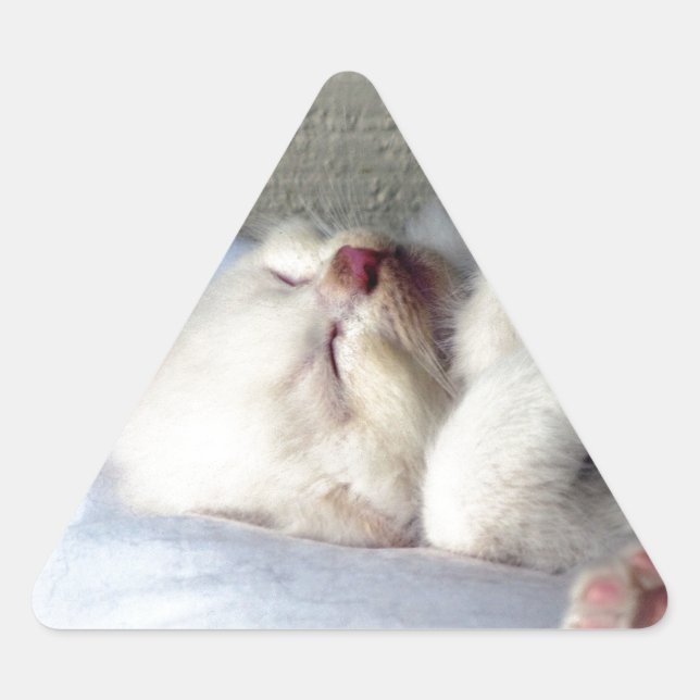 Pegatina Triangular Sleepy Kitten (Anverso)