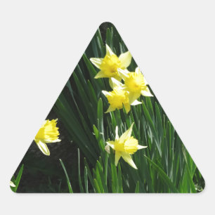 Pegatina Triangular Spring Daffodils