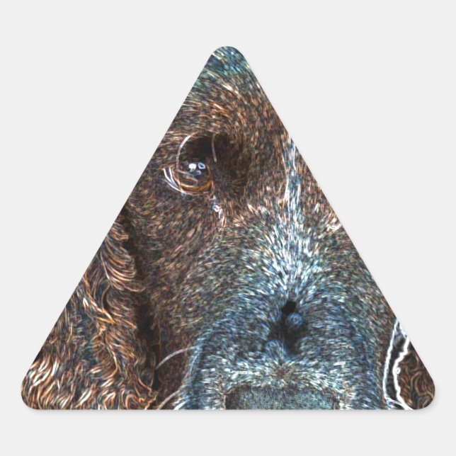Pegatina Triangular Springer Inglés (Anverso)