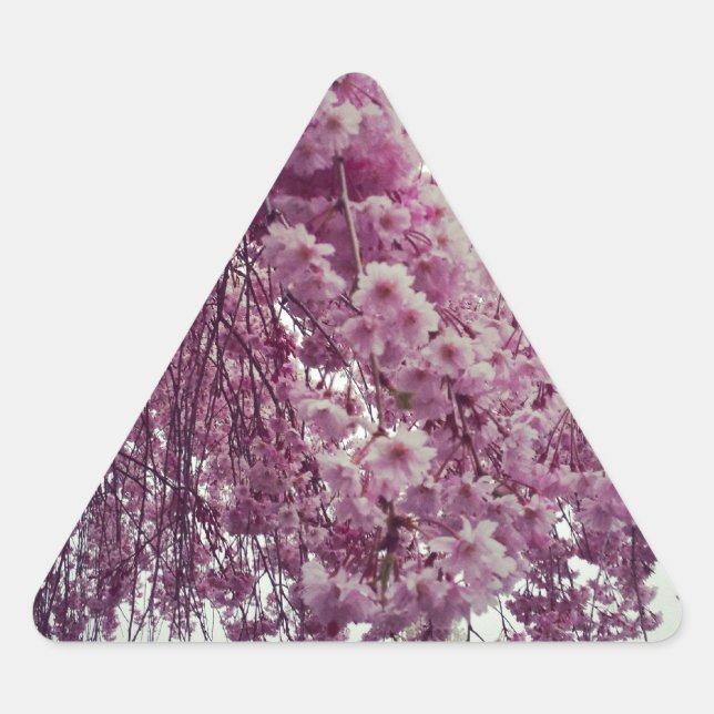 Pegatina Triangular Tiempo de primavera (Anverso)