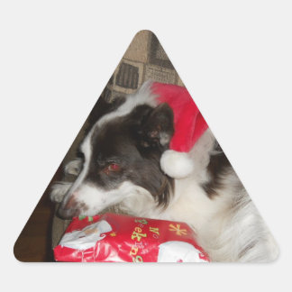 Pegatina Triangular Tiempo de regalo