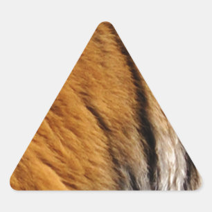 Pegatina Triangular Tiger Stripes Big Cat con muestreo fotográfico