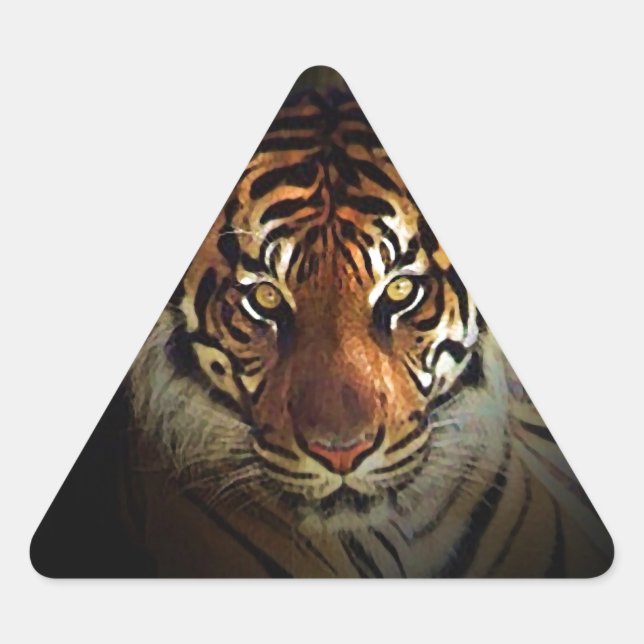 Pegatina Triangular Tigre (Anverso)
