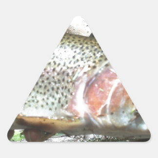 Pegatina Triangular Trucha arco iris