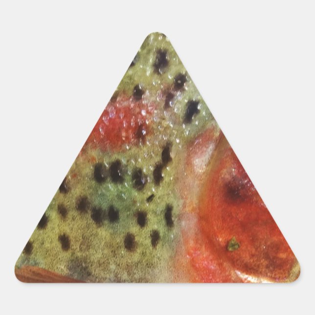 Pegatina Triangular Trucha en Manos (Anverso)