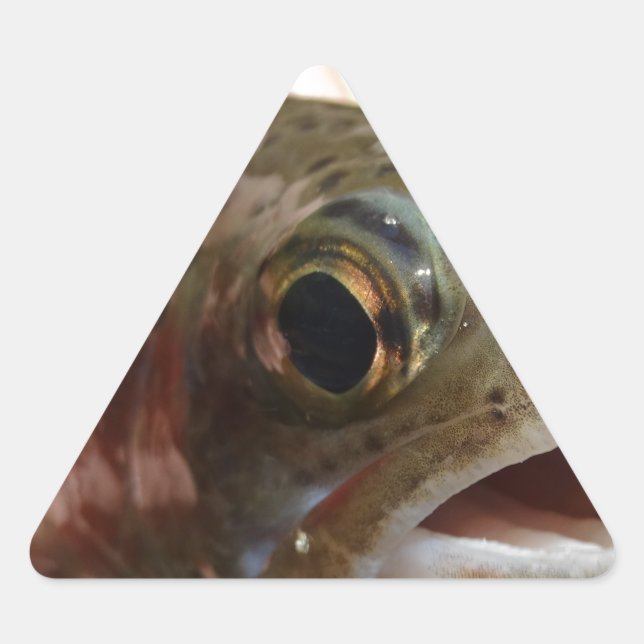 Pegatina Triangular Trucha en Manos (Anverso)