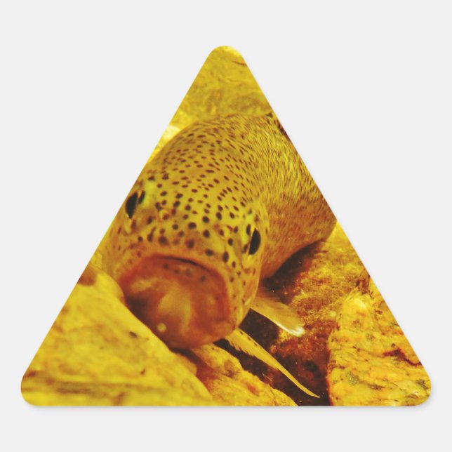 Pegatina Triangular Truco en la corriente (Anverso)