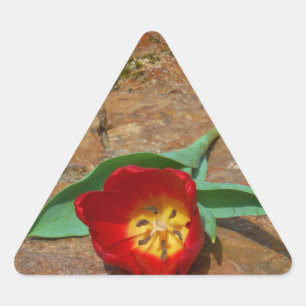 Pegatina Triangular Tulip rojo primavera