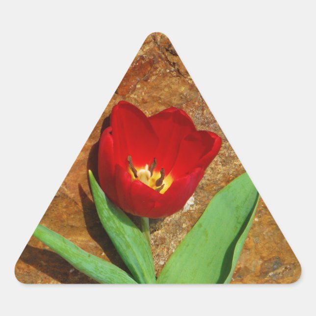 Pegatina Triangular Tulipán amarillo y rojo (Anverso)