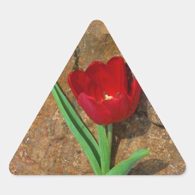 Pegatina Triangular tulipán amarillo y rojo (Anverso)