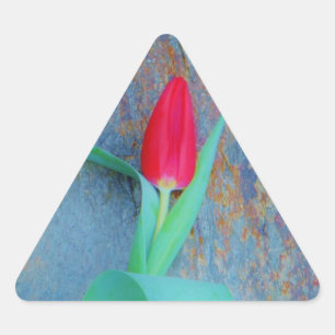 Pegatina Triangular Tulipán rojo sobre pizarra gris azul
