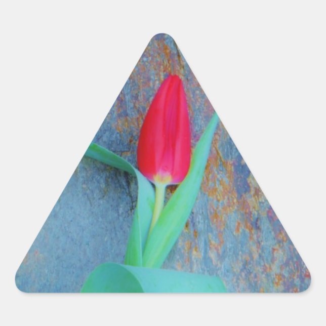 Pegatina Triangular Tulipán rojo sobre pizarra gris azul (Anverso)