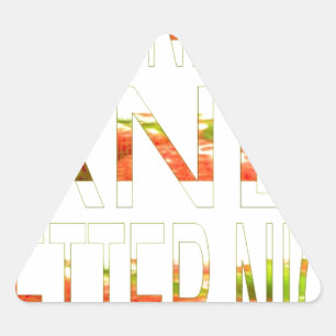 Pegatina Triangular Un buen día y un mejor arte nocturno