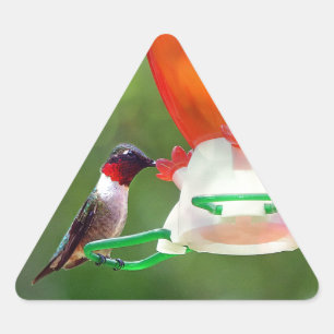 Pegatina Triangular Un colibrí con trompetas de rubí