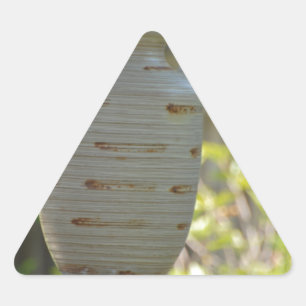 Pegatina Triangular Vida residual