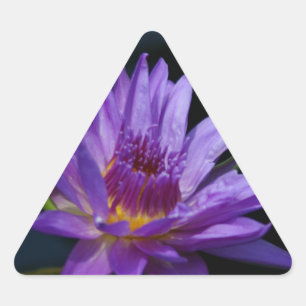 Pegatina Triangular Waterlily Lotus