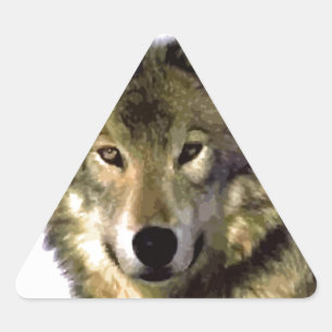 Pegatina Triangular Wolf Portrait