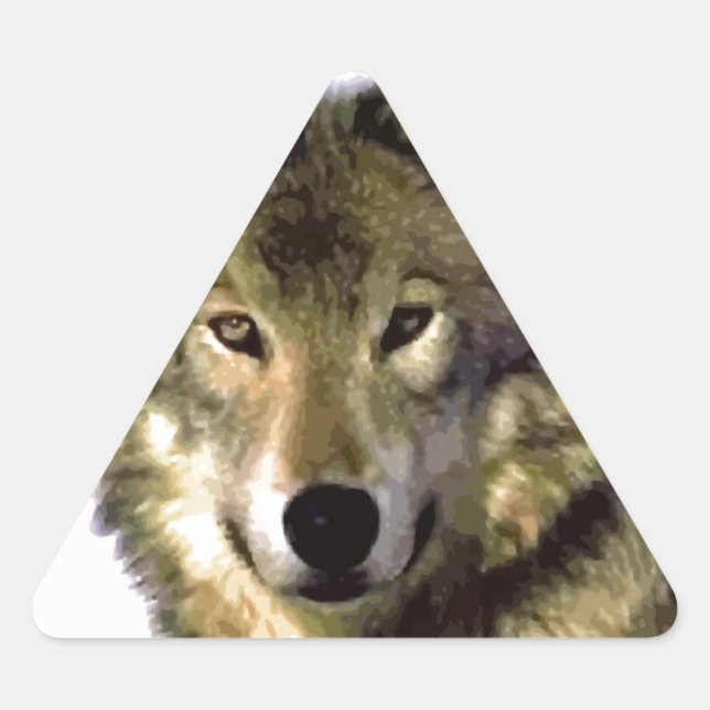 Pegatina Triangular Wolf Portrait (Anverso)