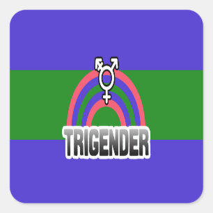 PEGATINA TRIGENDER RAINBOW