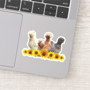 Pegatina Trio de pollo Sunflower Silkie Bantam