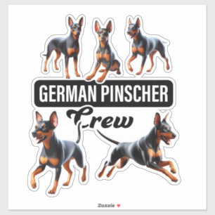 Pegatina Tripulación Pinscher alemana