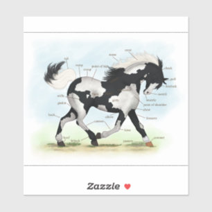 Pegatina Trotting Piebald Overo Paint Horse Anatomy Chart