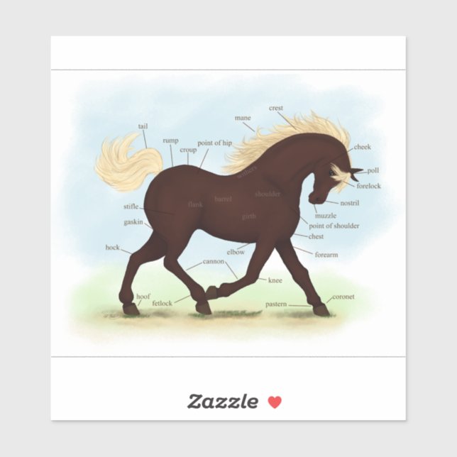 Pegatina Trotting Rocky Mountain Horse Equine Anatomy Chart (Hoja)