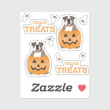 Trucos Para Tratamientos Naranja De Bulldog Inglés