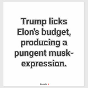 Pegatina Trump lamea el presupuesto de Elon Hankamer Artjun