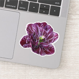 Pegatina Tulipán Floral Lila Púrpura