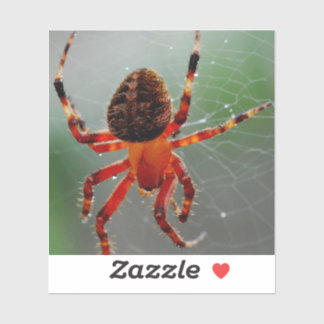 Pegatina Una araña hambrienta espera