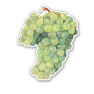 Pegatina Uvas, racimo de uvas