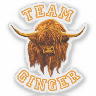 Pegatina Vaca escocesa celebra al equipo de Ginger
