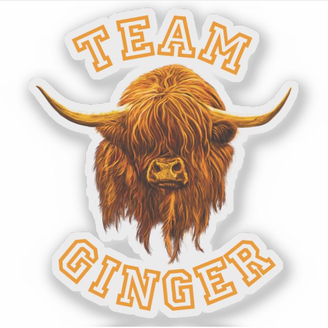 Pegatina Vaca escocesa celebra al equipo de Ginger (Anverso)