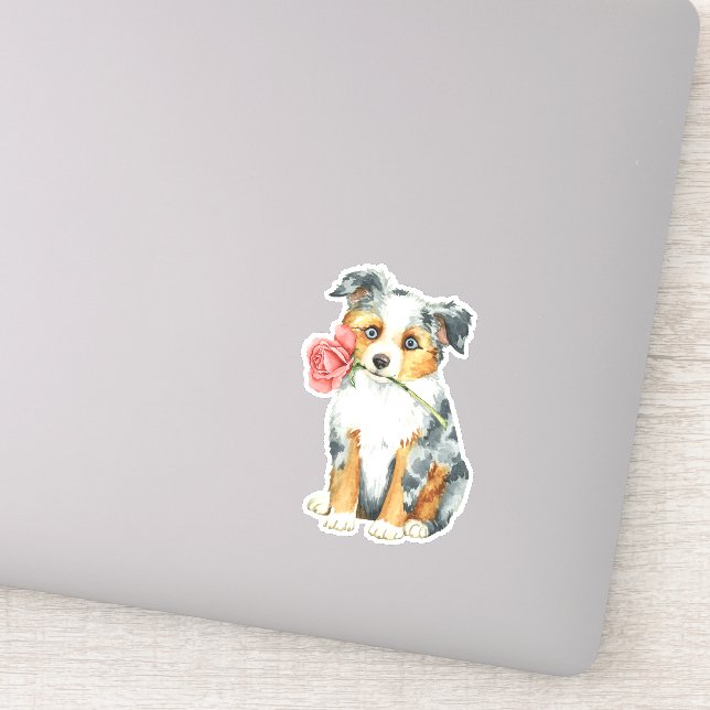 Pegatina Valentine Rosa Miniatura Pastor Americano Vinyl (Detalle)