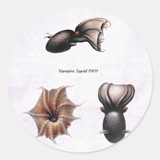 Pegatina Vampire Squid (Anverso)